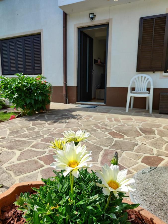 Apartma Nena Bovec Exteriör bild
